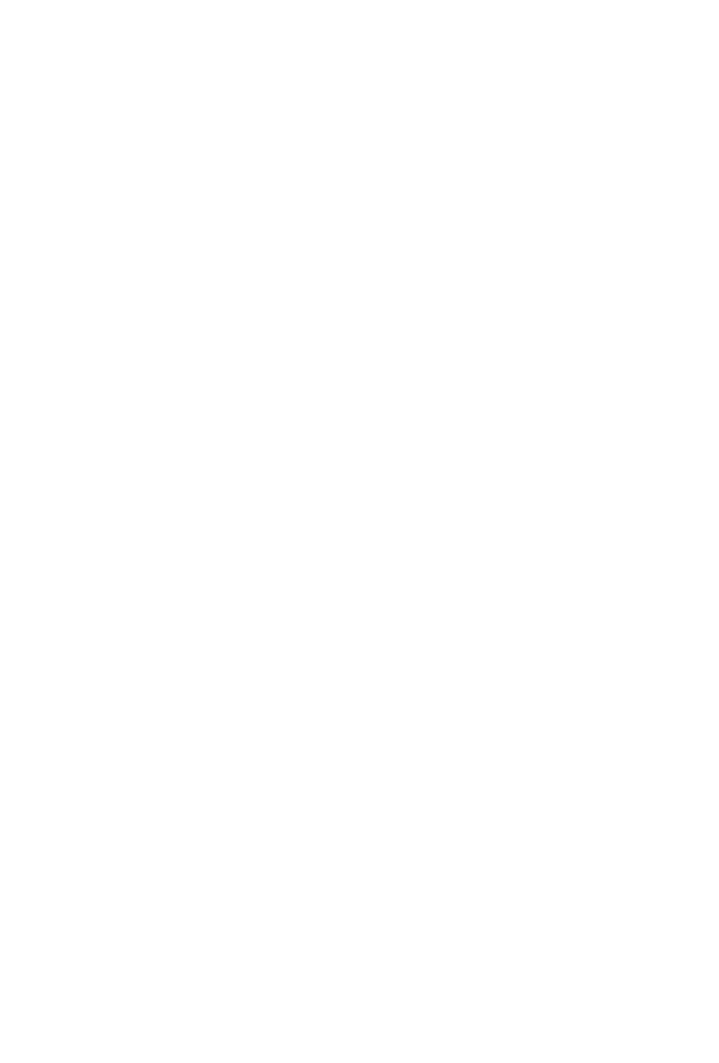 Little Nine Partners Historical Society Logo